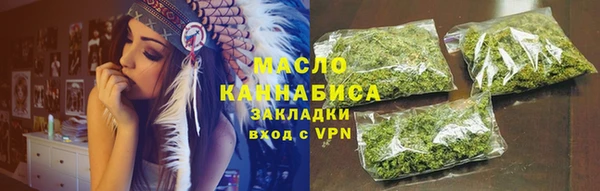 индика Усинск