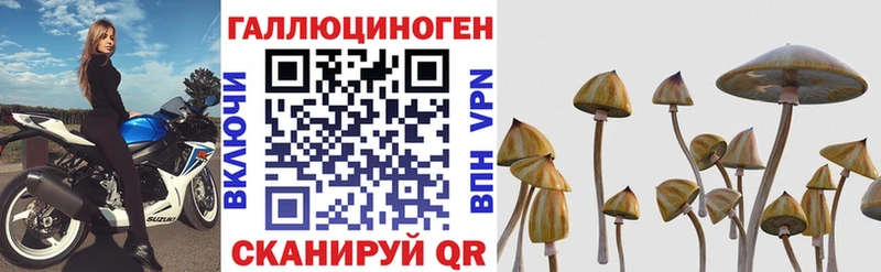 Псилоцибиновые грибы прущие грибы Берёзовский